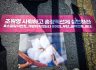 민주동덕에 봄은 오는가