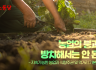 [논평] 농업의 붕괴를 방치해서는 안 된다