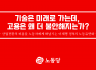 기술은 미래로 가는데, 고용은 왜 더 불안해지는가?